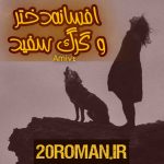 دانلود رمان آقای پینوشه به قلم آزیتا خیری با لینک مستقیم